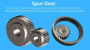 Spur Gear